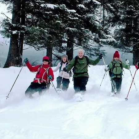 Chalet 49 Nesselgraben - Ferienwohnungen Aus Holz Koppl Esterno foto