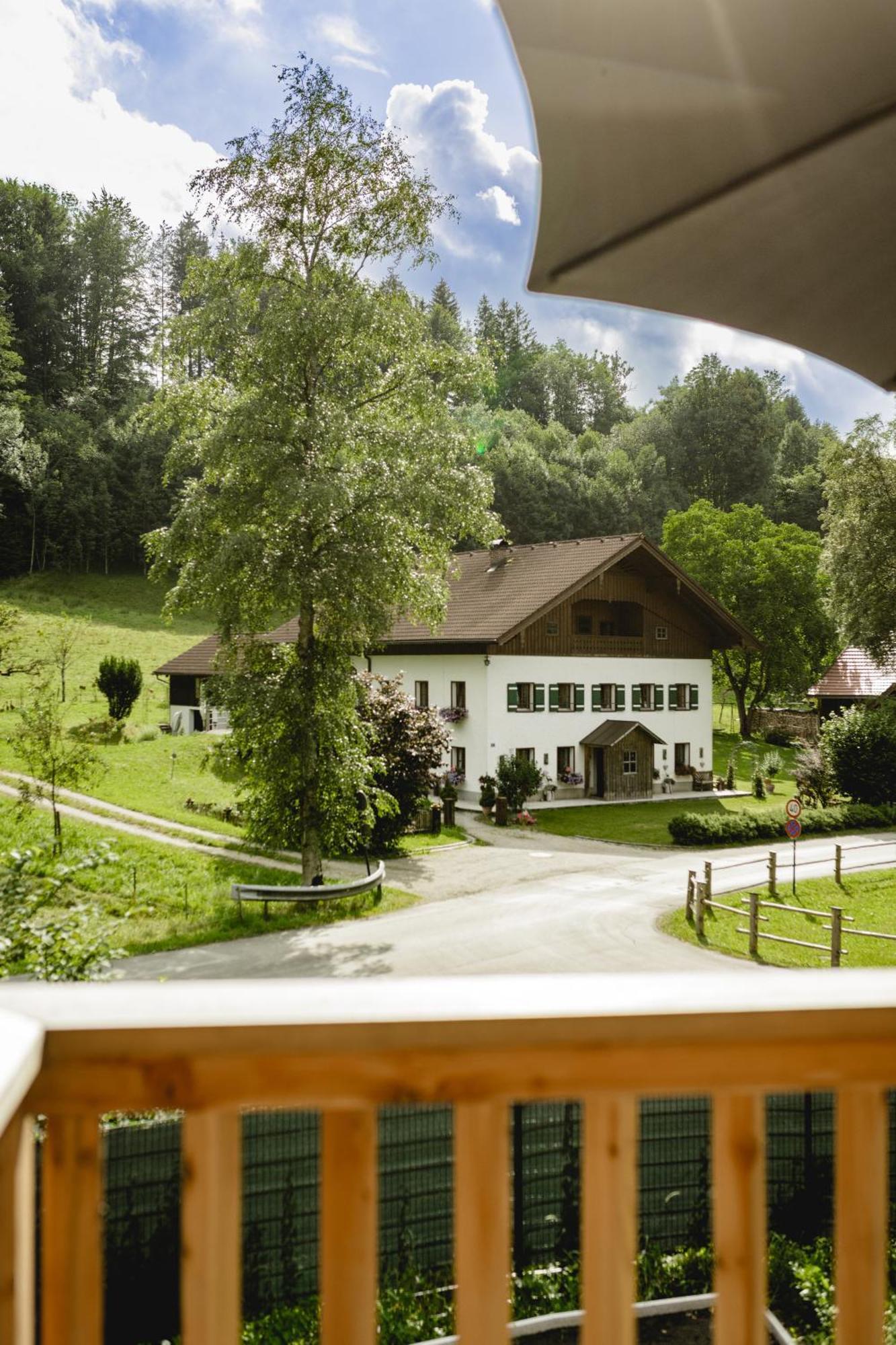 49 Nesselgraben - Aus Holz