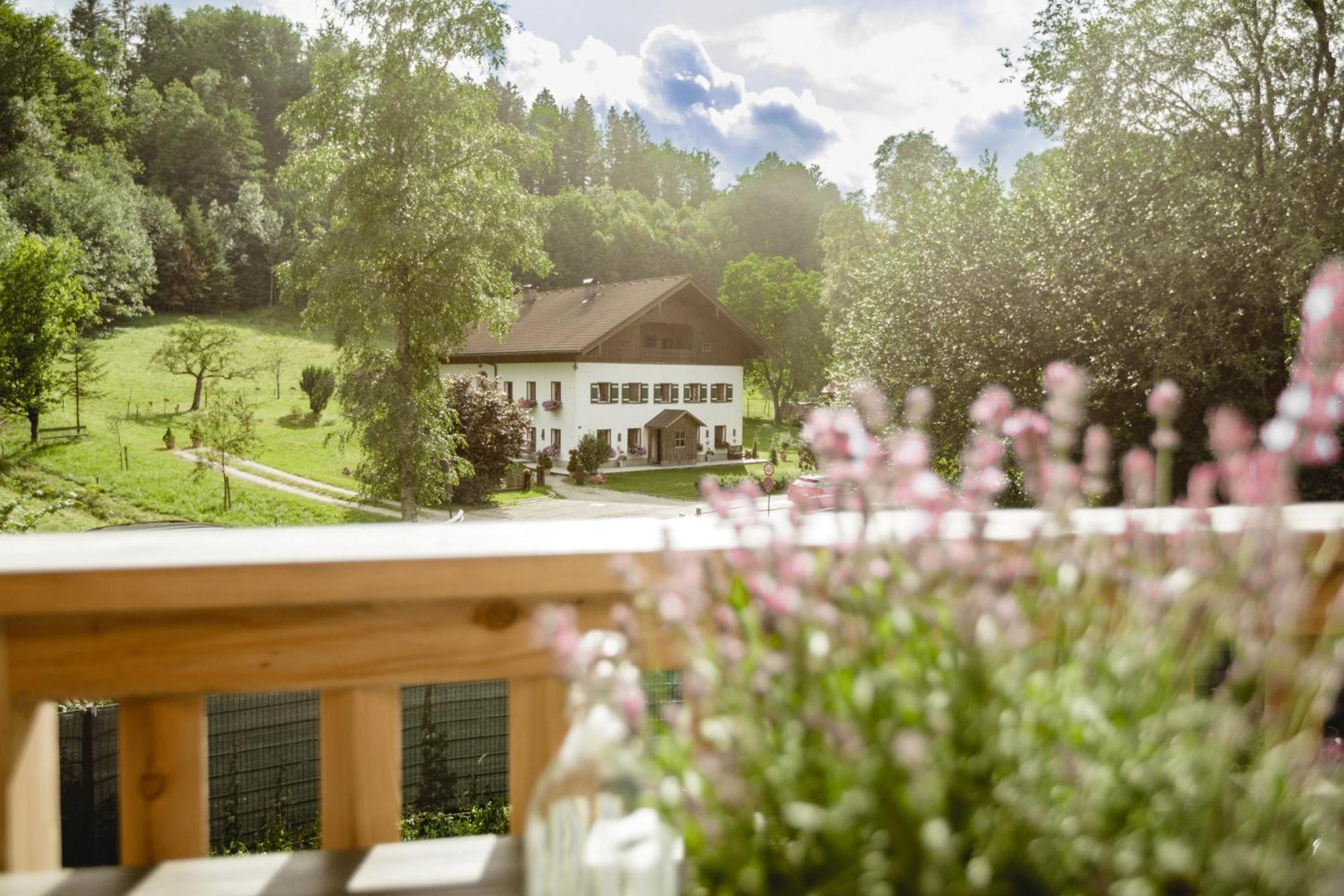 49 Nesselgraben - Aus Holz Appartement Koppl
